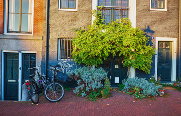 Fototapeta premium Amsterdam in the fall.