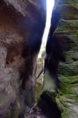 Wanderweg im Elbsandsteingebirge