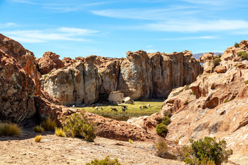 Fototapeta na wymiar Serene green landscape with alpacas and llamas, geological rock formations on Altiplano, Andes of Bolivia, South America