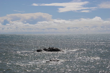 Rochers dans l'océan près des sables d'Olonne