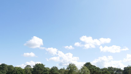Obraz premium blue sky with clouds and forest
