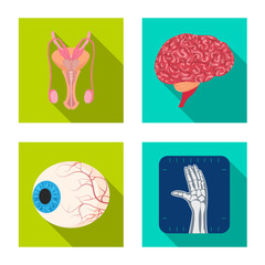Vector illustration of body and human symbol. Collection of body and medical stock vector illustration.