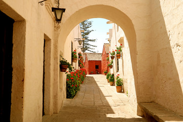 Fototapeta na wymiar White arch leading to the alley full of red flowering shrubs and wall-hanging planters in the Monastery of Santa Catalina, Arequipa, Peru