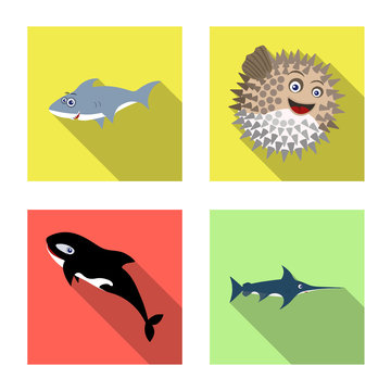 Isolated object of sea and animal sign. Set of sea and marine stock symbol for web.