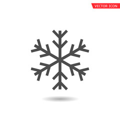 Snowflake icon vector