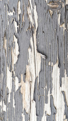 Backgrounds of weathered wood, chipped and flaking paint, gray s and reds