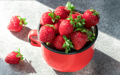 Fresh Strawberries in red enamel cup on grey background.