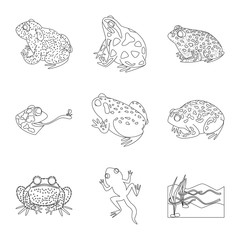 Vector illustration of amphibian and animal logo. Collection of amphibian and nature stock vector illustration.