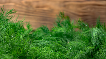 natural fresh green dill on the background of the boards