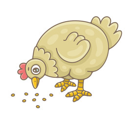 Hen. isolated on white background