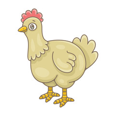 Hen. isolated on white background