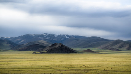 Vast open landscape with mountains and green land © Jyoti