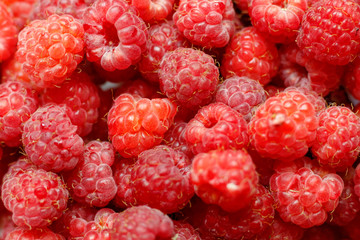 Heap of sweet red raspberries close up for background