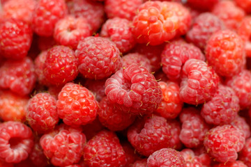 Heap of sweet red raspberries close up for bckground