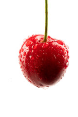 red and ripe sweet cherry