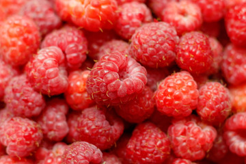 Heap of sweet red raspberries close up for background