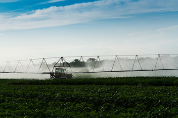 Agricultural irrigation system watering green field on sunny summer day. Watering the harvest