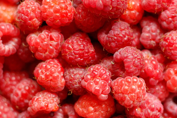 Heap of sweet red raspberries close up for background