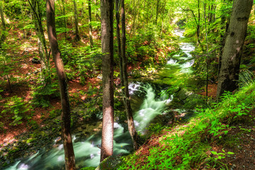 Summer mountain colors of 