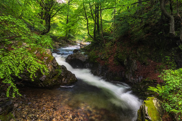 Obraz premium Summer mountain colors of 