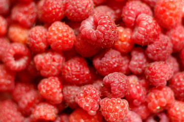 Heap of sweet red raspberries close up for background
