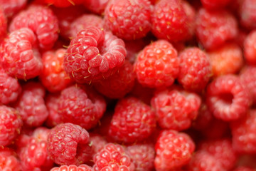 Heap of sweet red raspberries close up for background