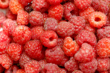 Heap of sweet red raspberries close up for background