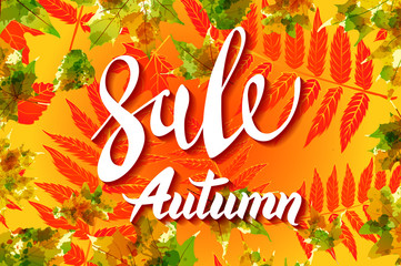 Banner for autumn sale in frame from leaves. poster with lettering and background yellow autumn maple leaves. Vector illustration eps 10