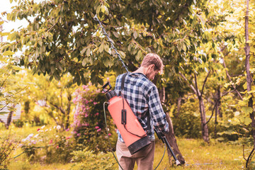 male farmer applying  spray insecticide protection on the tree leaves using pump