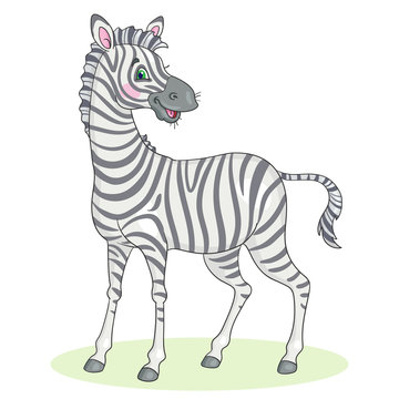 Big cute zebra stands. In cartoon style. Isolated on white background. Vector illustration.