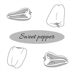 Sweet pepper - fresh vegetable. Hand drawn style. Vector illustration