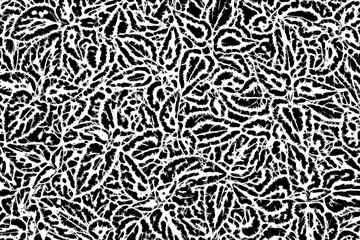 Hintergrund - Textur Muster in schwarz-weiß