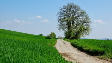 Wanderung im Bergischen Land
