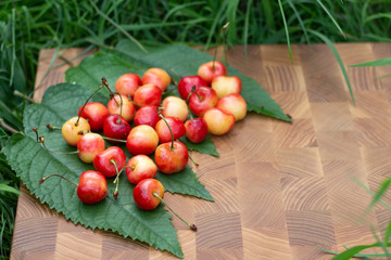 Yellow sweet cherry in on a wooden cutting board on a background of green grass. Close-up. Copy space.