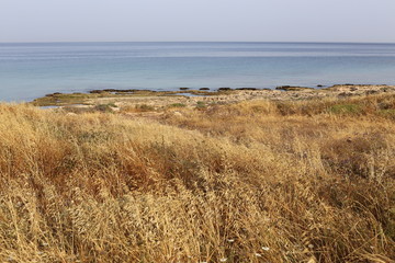coast of the Mediterranean Sea in the north of the State of Israel