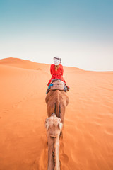 A tourist woman on the dromedary in Morocco desert - obrazy, fototapety, plakaty