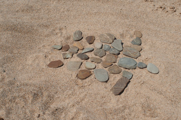 Sea Turtle out of rocks