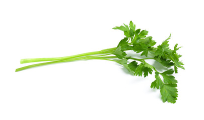 Leaves of fresh tasty parsley on white background