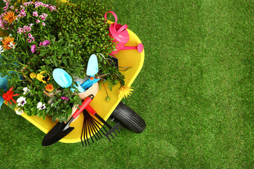 Wheelbarrow with flowers and gardening tools on grass, top view. Space for text