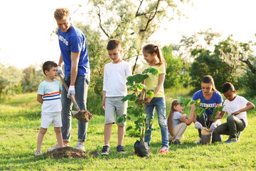 Kids planting trees with volunteers in park