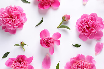 Beautiful peony flowers on white background, top view