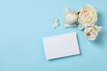 Fresh peonies and empty card on color background, flat lay with space for text