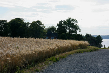 road in the countryside