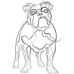 Dog one line drawing. Boxer Pet continuous line sketch Vector