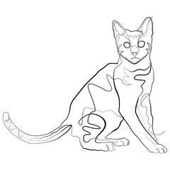 Cat one line drawing. Pet continuous line sketch Vector