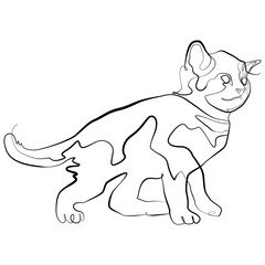 Kitten Cat one line drawing. Kitty Cat continuous line sketch Vector