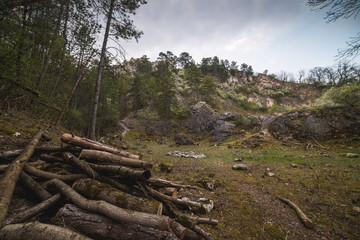 Rocky Landscape. Pile of Wood in Back Quarry (Zadní lom) Near Mikulov, Czech Republic