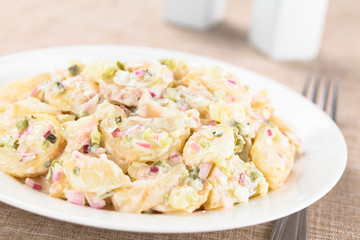Fresh homemade vegetarian potato salad made with red onion, pickles, mayonnaise and mustard served on plate (Selective Focus, Focus in the middle of the image)
