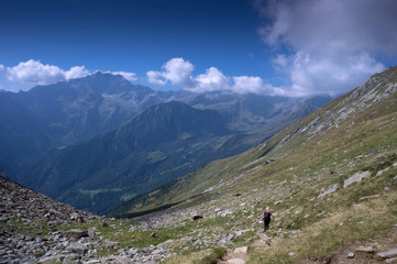 Fototapeta premium landscape
