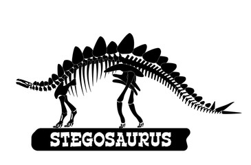 Dinosaur skeleton. Stegosaurus. Silhouette on isolated background. Sticker, magnet. Vector